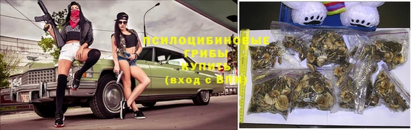 Альфа ПВП Алзамай
