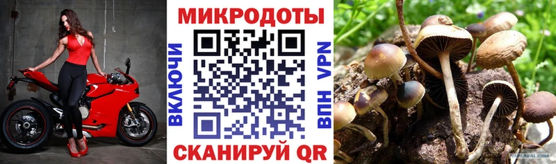 Галлюциногенные грибы Cubensis  как найти наркотики  Крым 